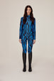 Blue Zebra