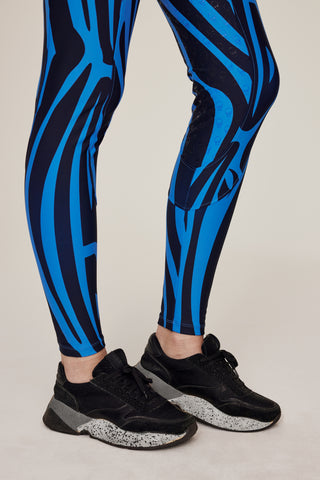 Blue zebra breeches
